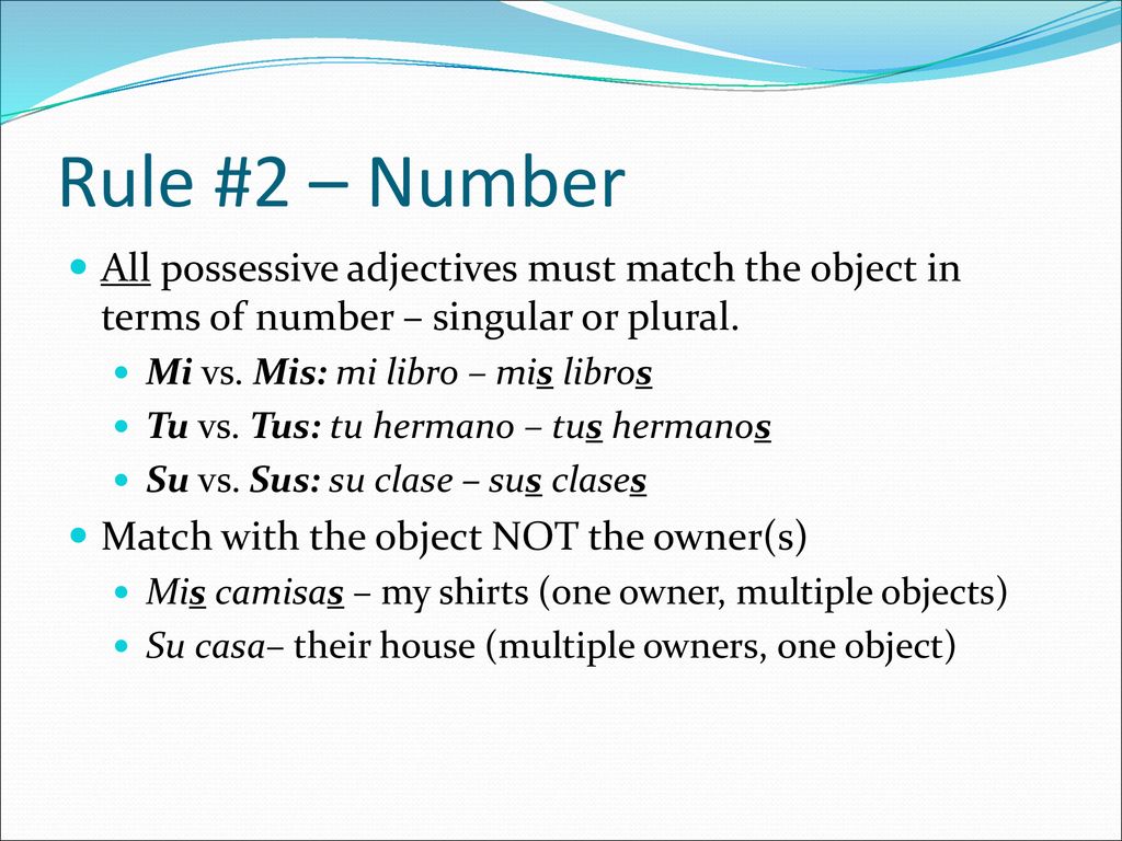 Rule #2 – Number All possessive adjectives must match the object in terms of number – singular or plural.