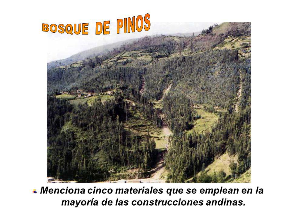 BOSQUE DE PINOS Menciona cinco materiales que se emplean en la mayoría de las construcciones andinas.