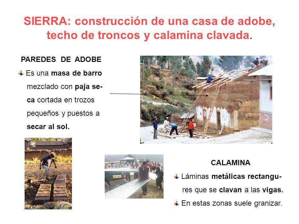 SIERRA: construcción de una casa de adobe, techo de troncos y calamina clavada.