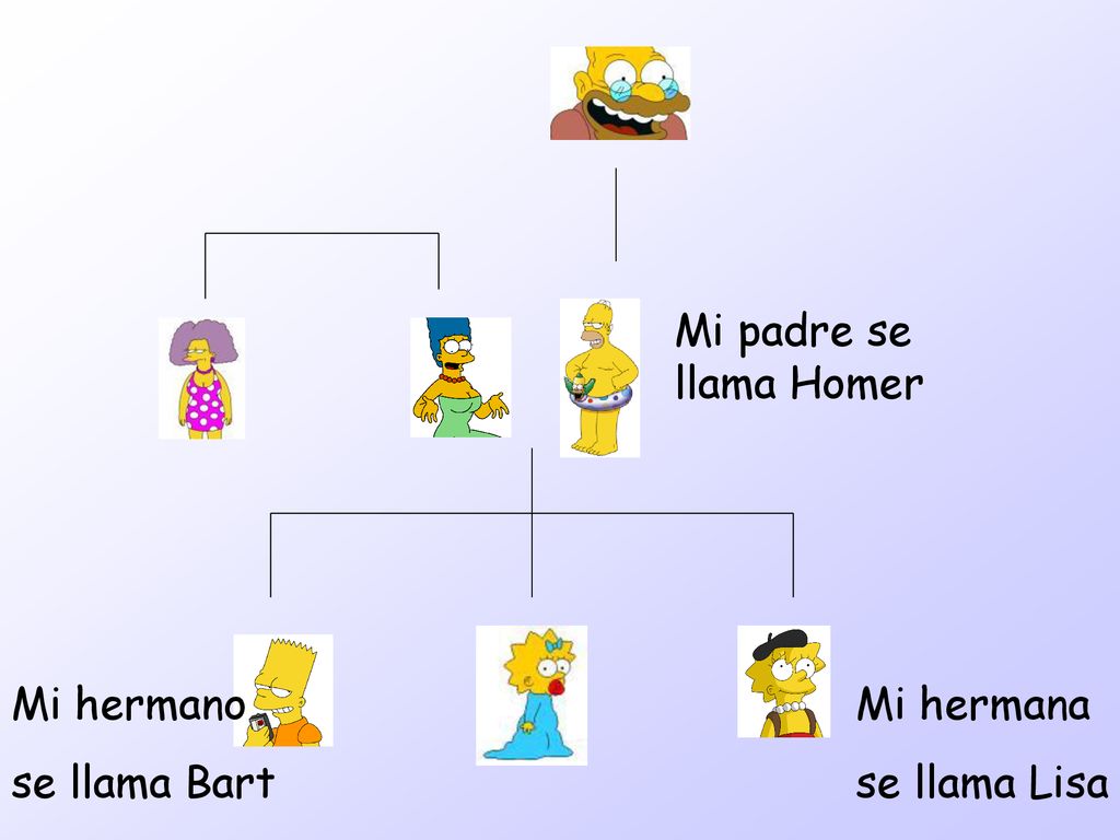 Mi padre se llama Homer Mi hermano se llama Bart Mi hermana se llama Lisa