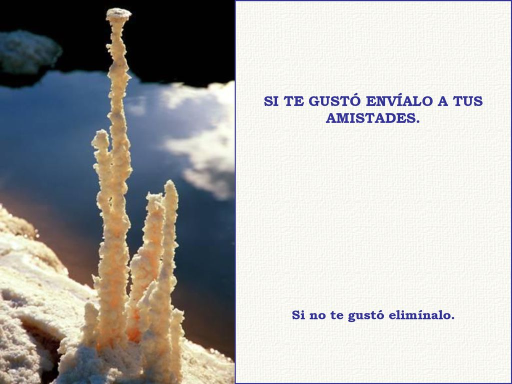 SI TE GUSTÓ ENVÍALO A TUS AMISTADES. Si no te gustó elimínalo.