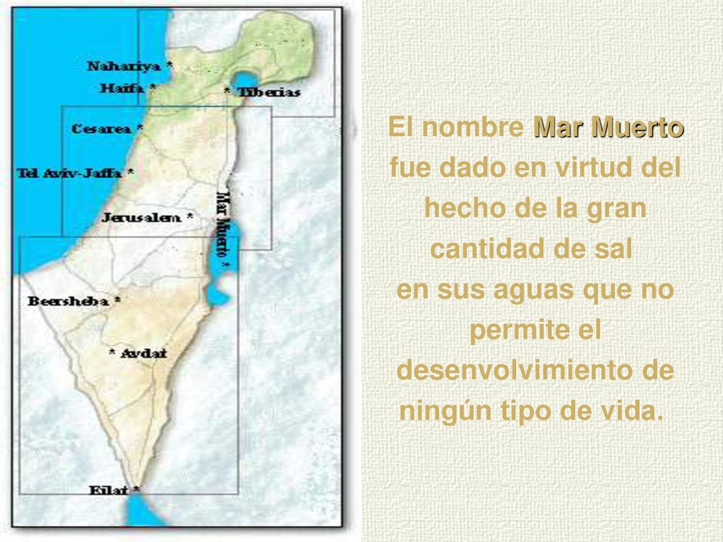 El nombre Mar Muerto fue dado en virtud del hecho de la gran cantidad de sal