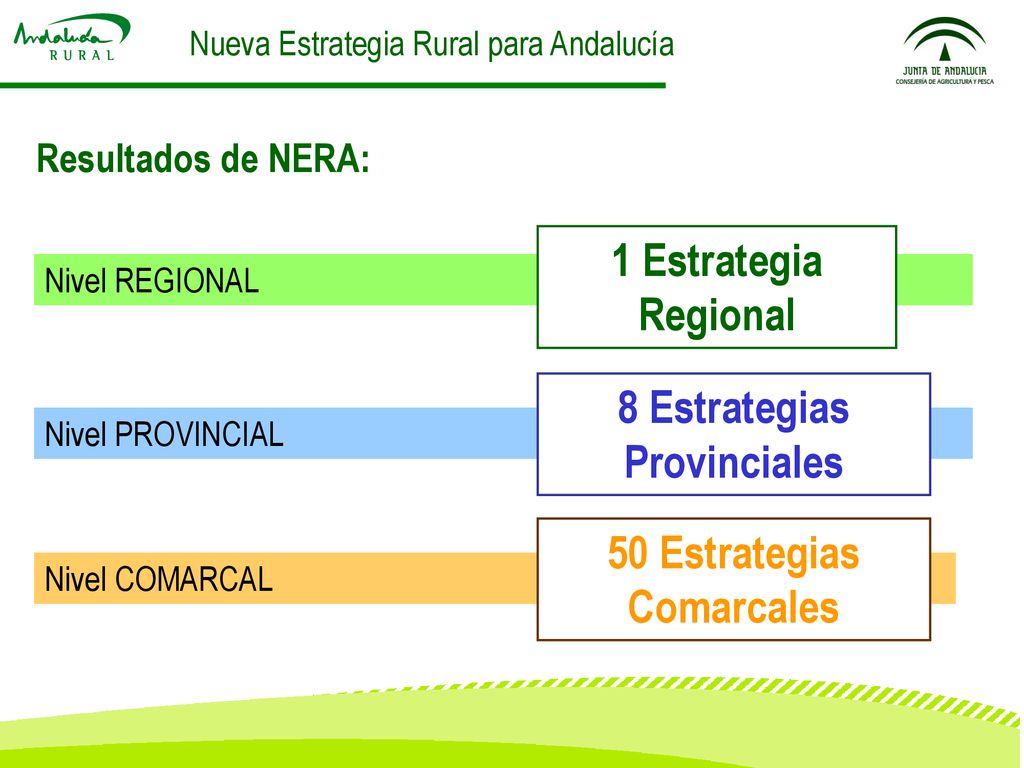 8 Estrategias Provinciales 50 Estrategias Comarcales
