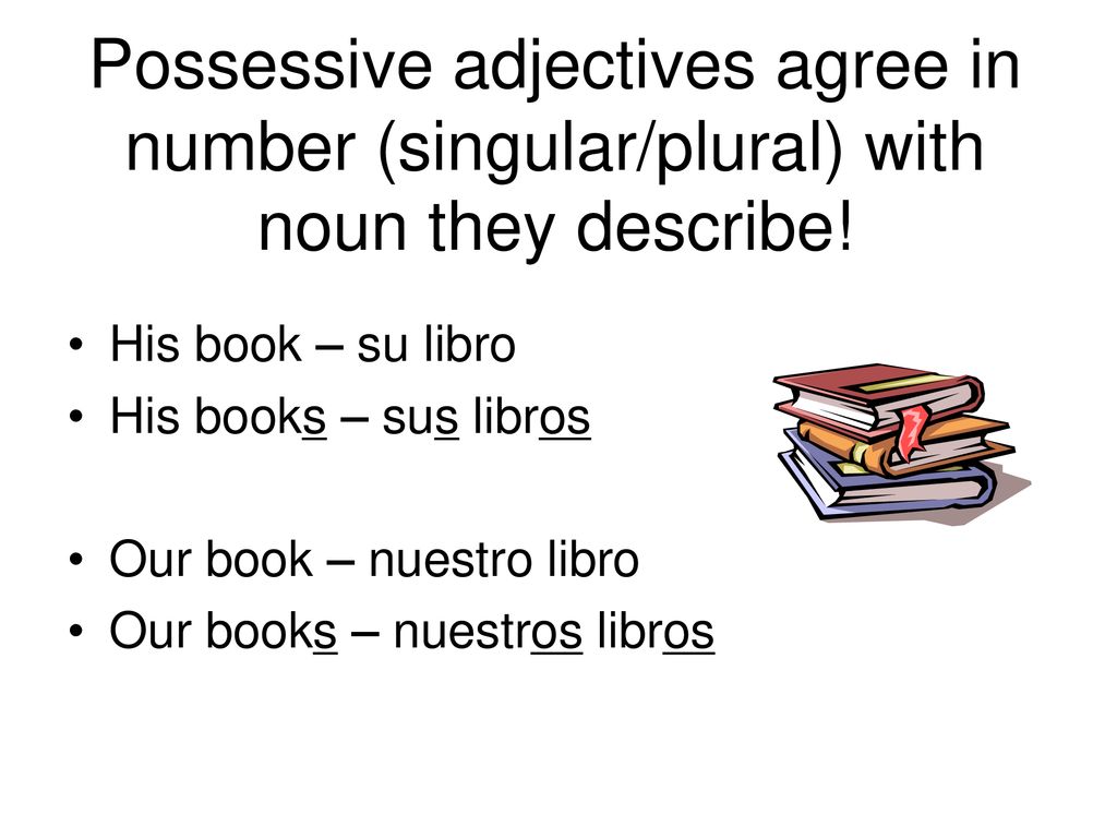 Possessive adjectives agree in number (singular/plural) with noun they describe!