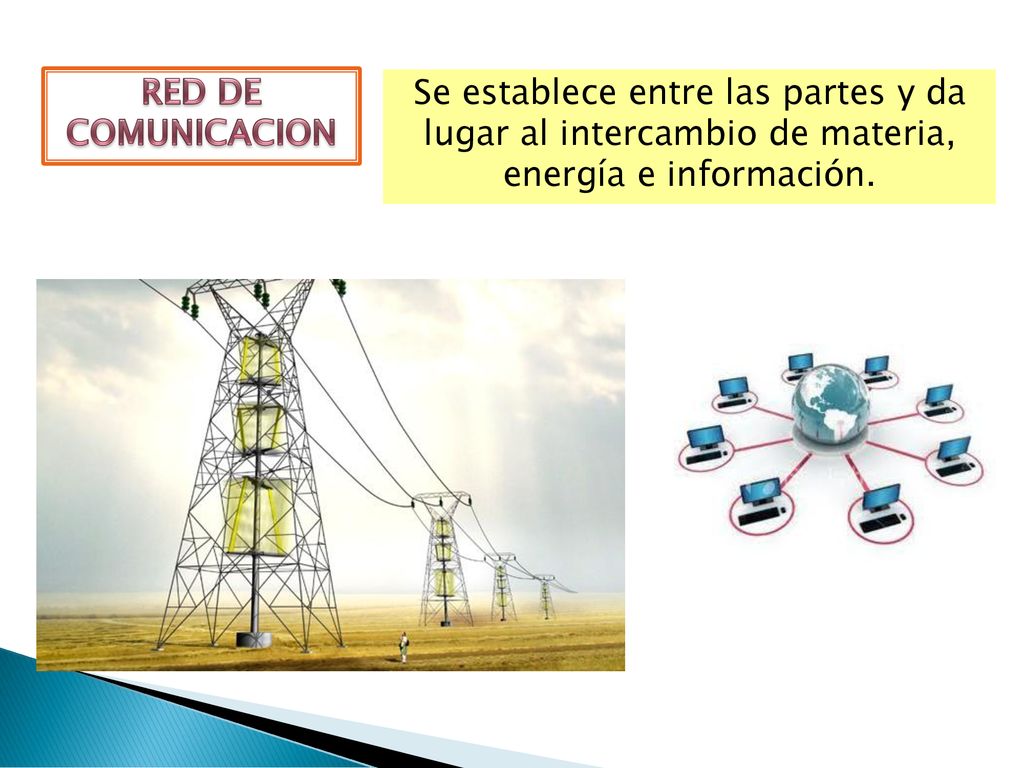 RED DE COMUNICACION Se establece entre las partes y da lugar al intercambio de materia, energía e información.