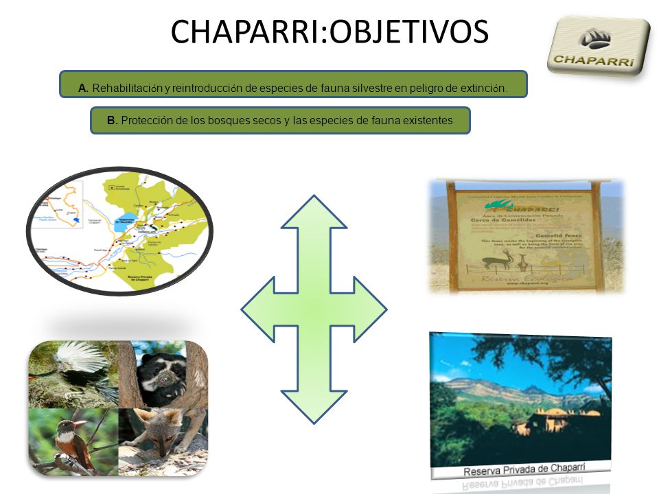 B. Protección de los bosques secos y las especies de fauna existentes
