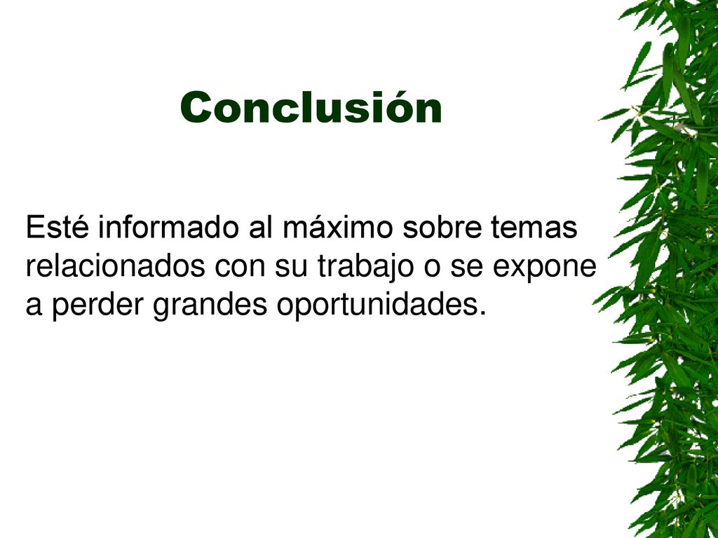 Conclusión Esté informado al máximo sobre temas relacionados con su trabajo o se expone a perder grandes oportunidades.