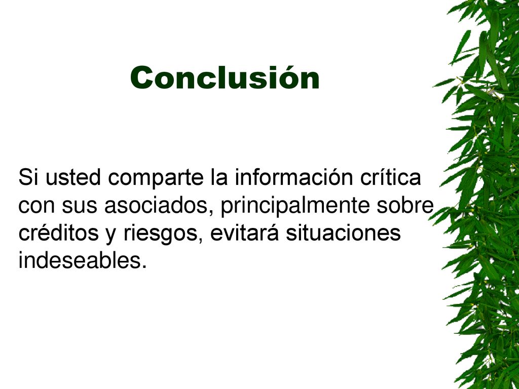 Conclusión Si usted comparte la información crítica con sus asociados, principalmente sobre créditos y riesgos, evitará situaciones indeseables.
