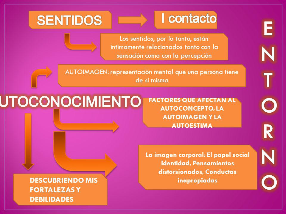 FACTORES QUE AFECTAN AL AUTOCONCEPTO, LA AUTOIMAGEN Y LA AUTOESTIMA