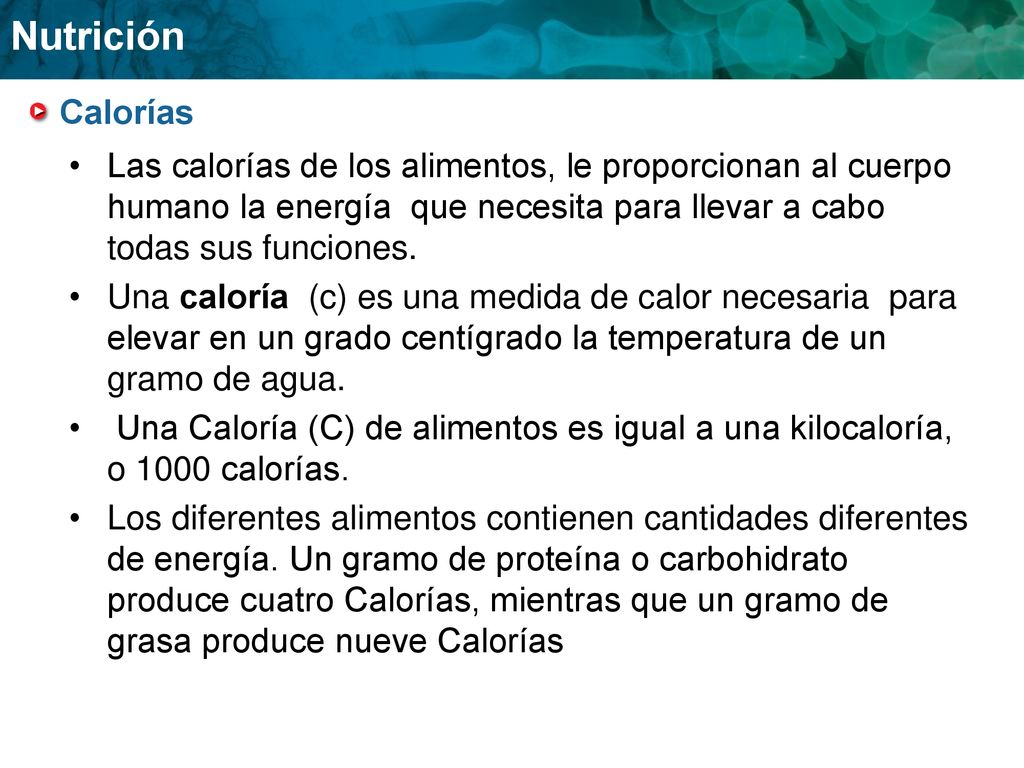 Calorías Las calorías de los alimentos, le proporcionan al cuerpo humano la energía que necesita para llevar a cabo todas sus funciones.