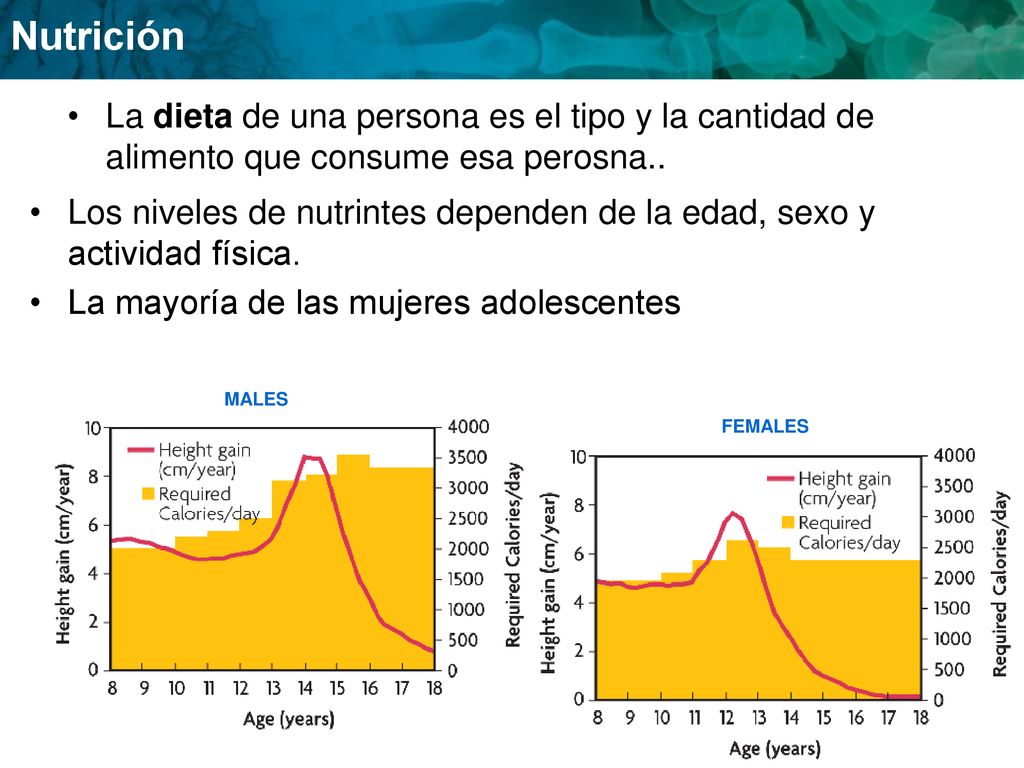 Los niveles de nutrintes dependen de la edad, sexo y actividad física.