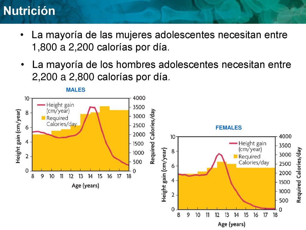 La mayoría de las mujeres adolescentes necesitan entre 1,800 a 2,200 calorías por día.