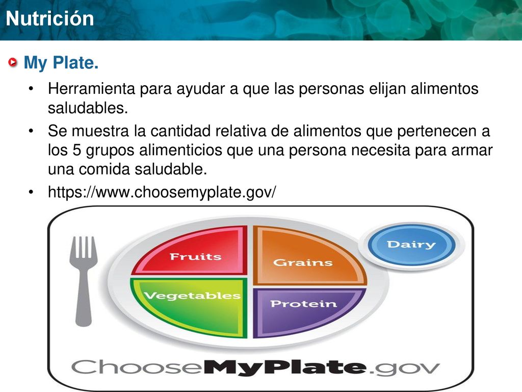 My Plate. Herramienta para ayudar a que las personas elijan alimentos saludables.