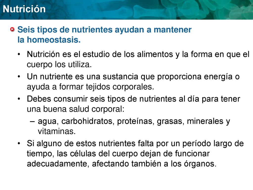 Seis tipos de nutrientes ayudan a mantener la homeostasis.