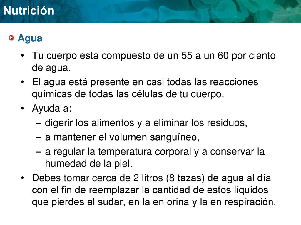 Agua Tu cuerpo está compuesto de un 55 a un 60 por ciento de agua.