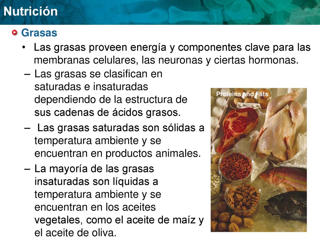 Grasas Las grasas proveen energía y componentes clave para las membranas celulares, las neuronas y ciertas hormonas.
