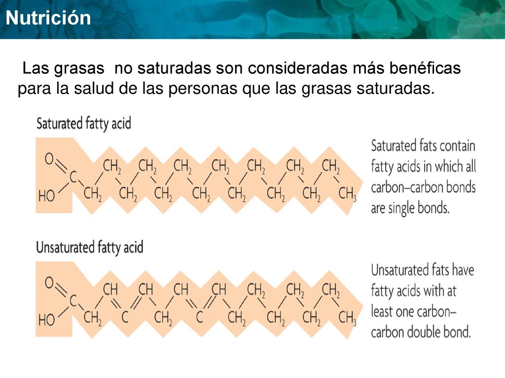 Las grasas no saturadas son consideradas más benéficas para la salud de las personas que las grasas saturadas.