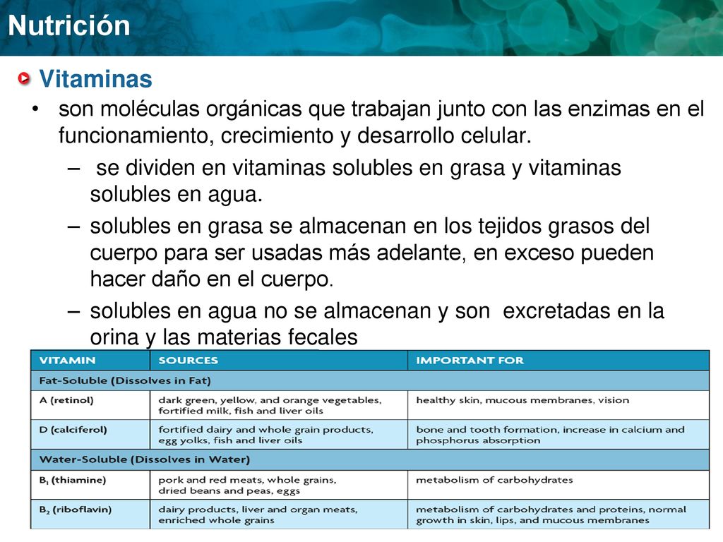 Vitaminas son moléculas orgánicas que trabajan junto con las enzimas en el funcionamiento, crecimiento y desarrollo celular.