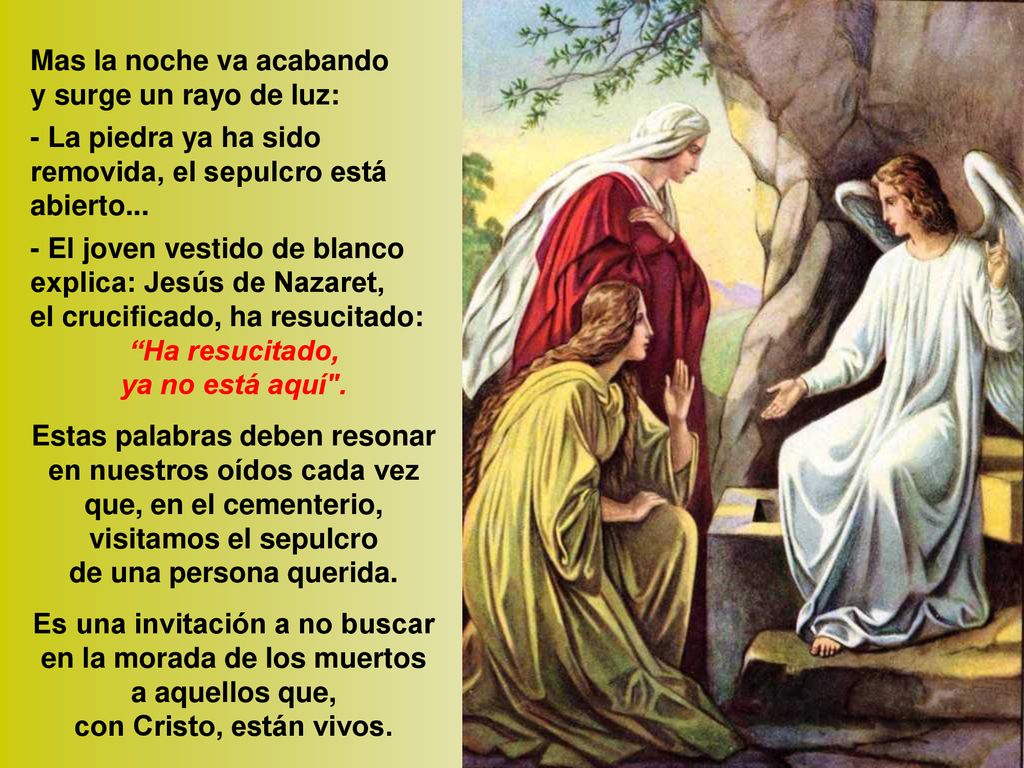 Mas la noche va acabando y surge un rayo de luz: