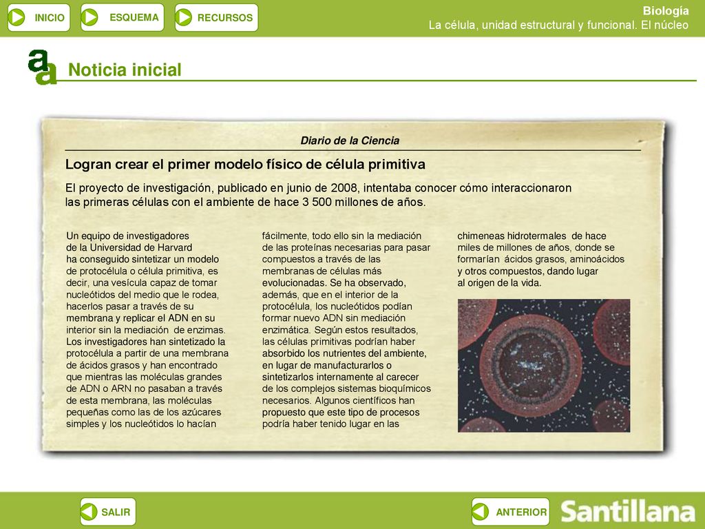 Noticia inicial Diario de la Ciencia. Logran crear el primer modelo físico de célula primitiva.