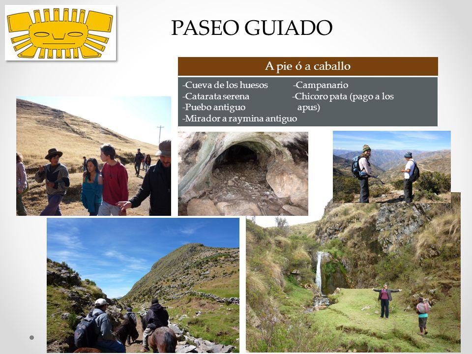 PASEO GUIADO A pie ó a caballo -Cueva de los huesos -Campanario