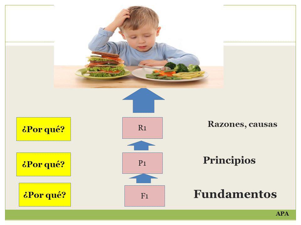 Fundamentos Principios Razones, causas ¿Por qué ¿Por qué ¿Por qué