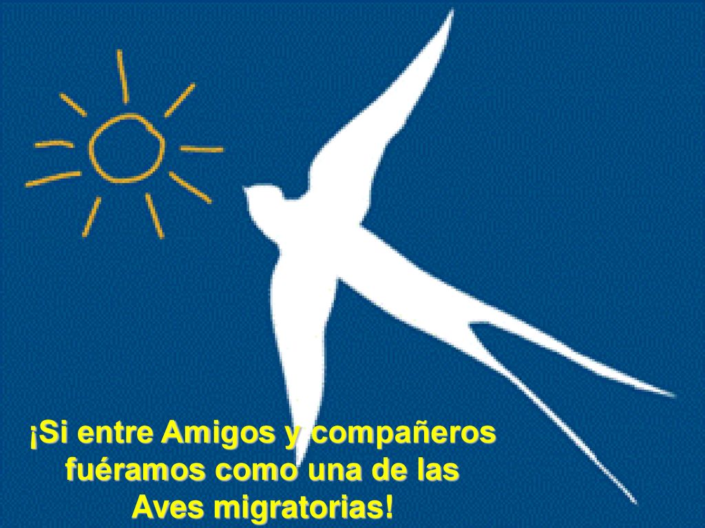 ¡Si entre Amigos y compañeros fuéramos como una de las