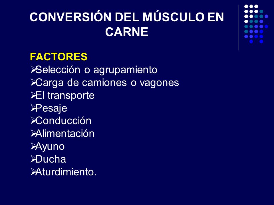 CONVERSIÓN DEL MÚSCULO EN CARNE