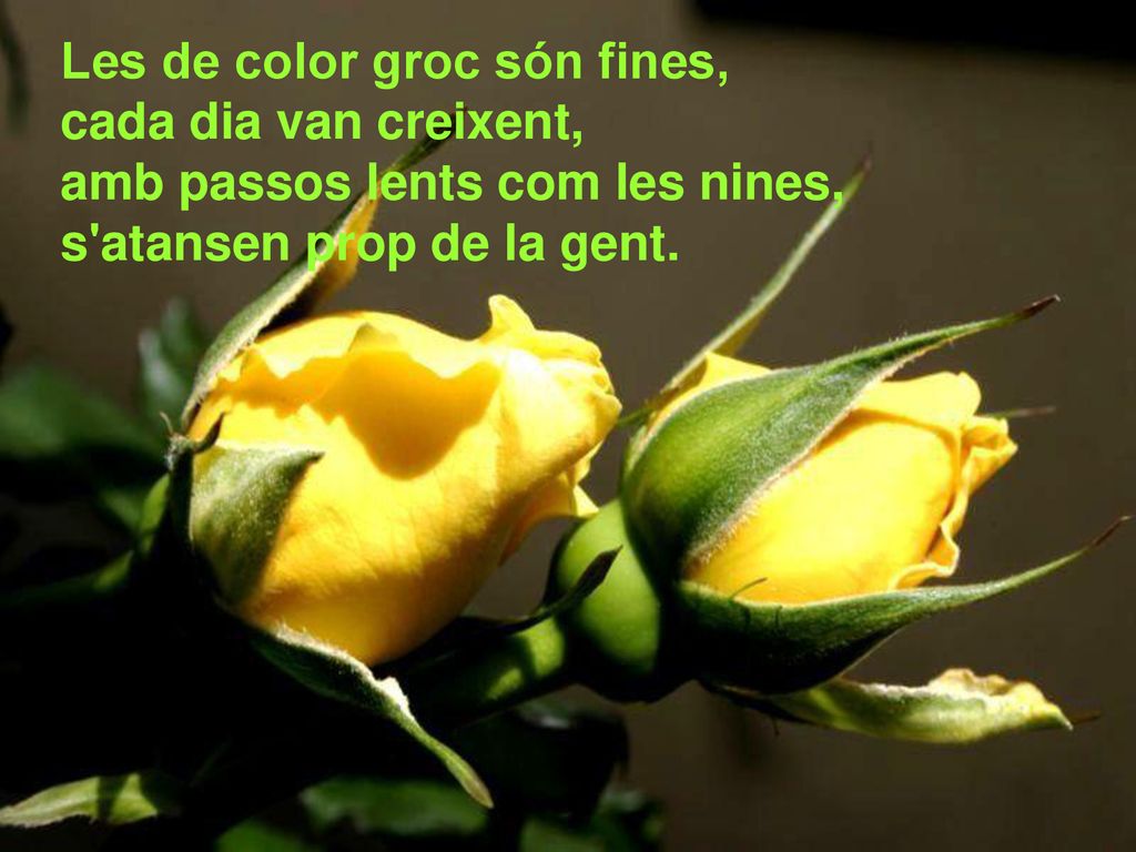 Les de color groc són fines,