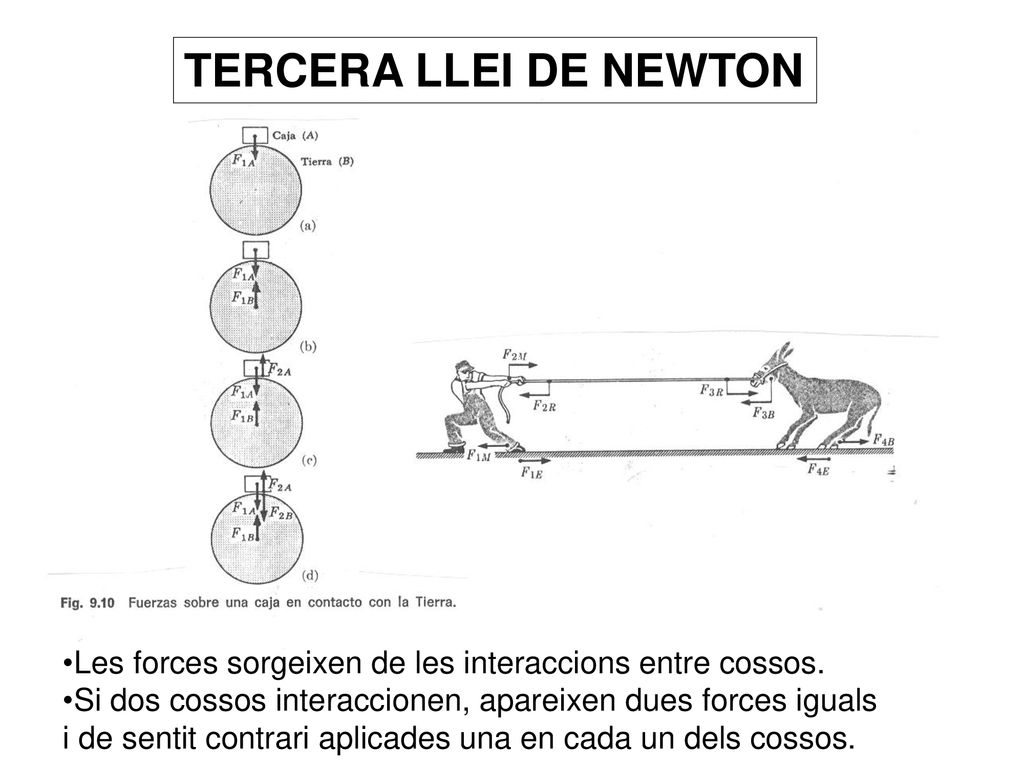 TERCERA LLEI DE NEWTON Les forces sorgeixen de les interaccions entre cossos. Si dos cossos interaccionen, apareixen dues forces iguals.