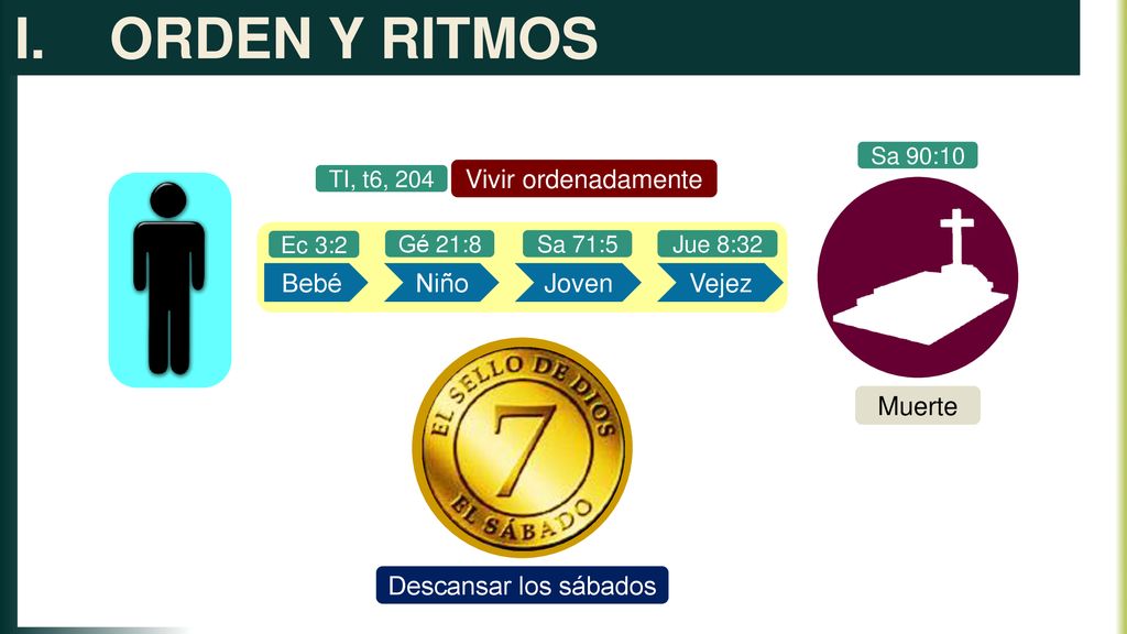 ORDEN Y RITMOS Vivir ordenadamente Bebé Niño Joven Vejez Muerte