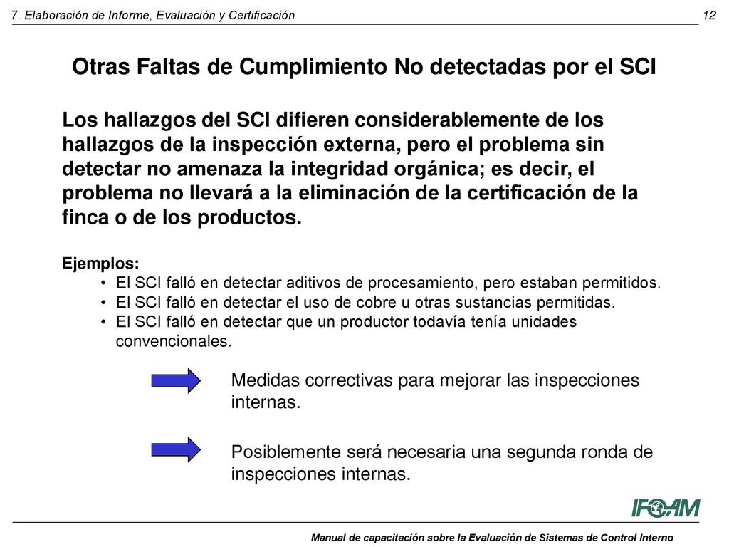 Otras Faltas de Cumplimiento No detectadas por el SCI