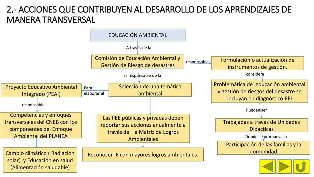 2.- ACCIONES QUE CONTRIBUYEN AL DESARROLLO DE LOS APRENDIZAJES DE MANERA TRANSVERSAL