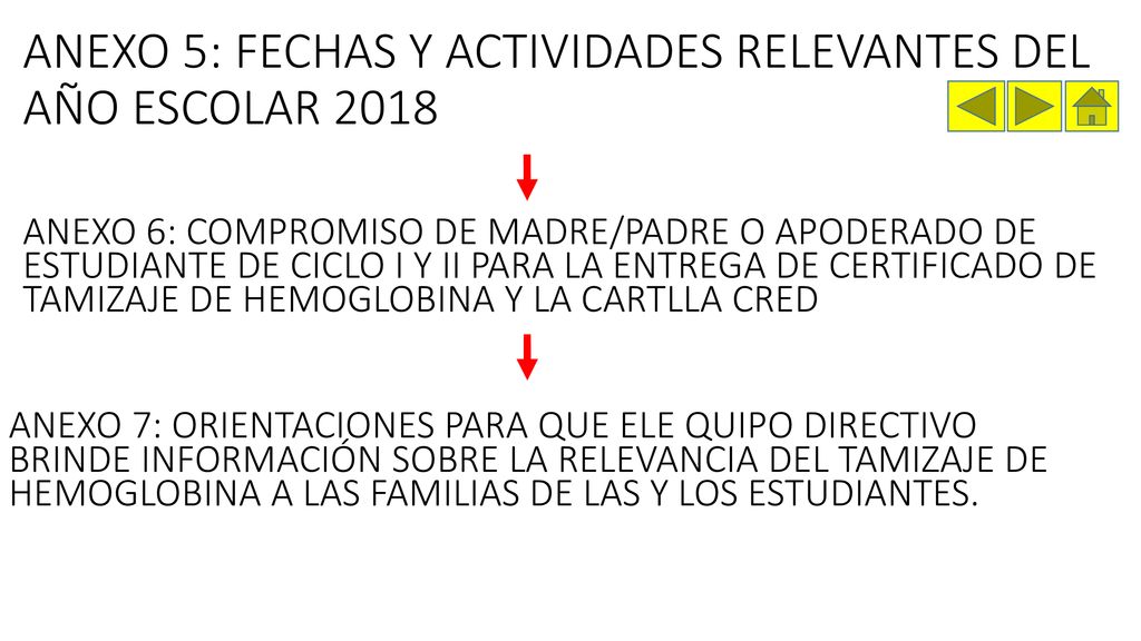ANEXO 5: FECHAS Y ACTIVIDADES RELEVANTES DEL AÑO ESCOLAR 2018