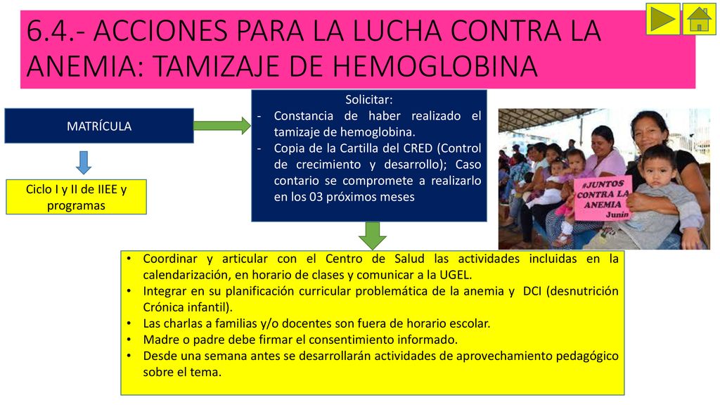 6.4.- ACCIONES PARA LA LUCHA CONTRA LA ANEMIA: TAMIZAJE DE HEMOGLOBINA