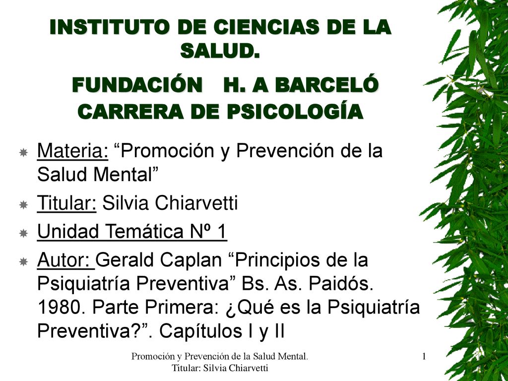 Promoción y Prevención de la Salud Mental. Titular: Silvia Chiarvetti