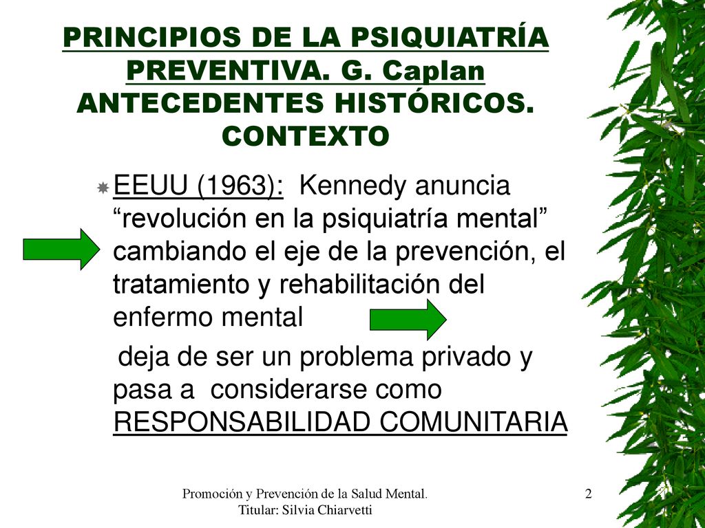 Promoción y Prevención de la Salud Mental. Titular: Silvia Chiarvetti