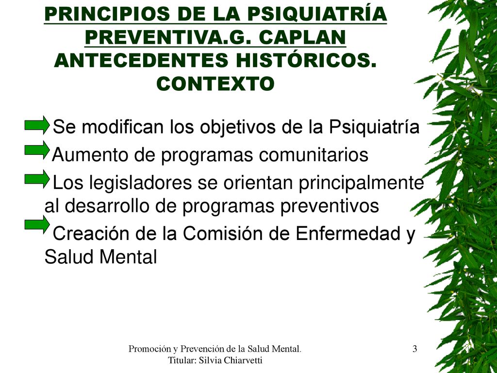 Promoción y Prevención de la Salud Mental. Titular: Silvia Chiarvetti