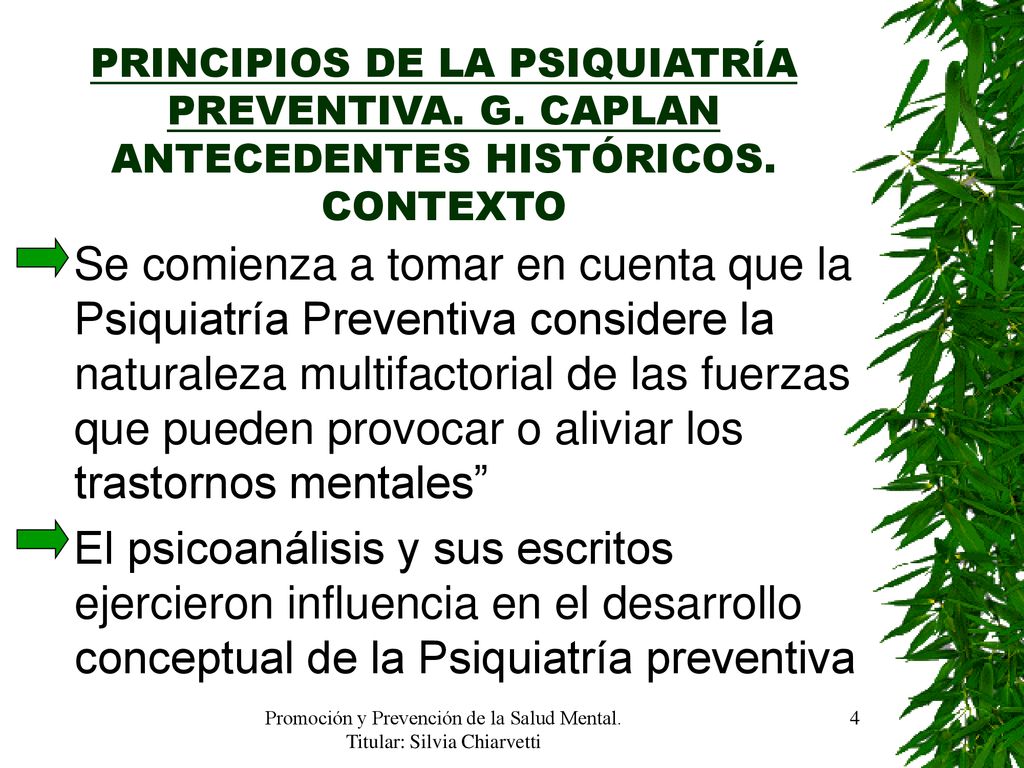 Promoción y Prevención de la Salud Mental. Titular: Silvia Chiarvetti