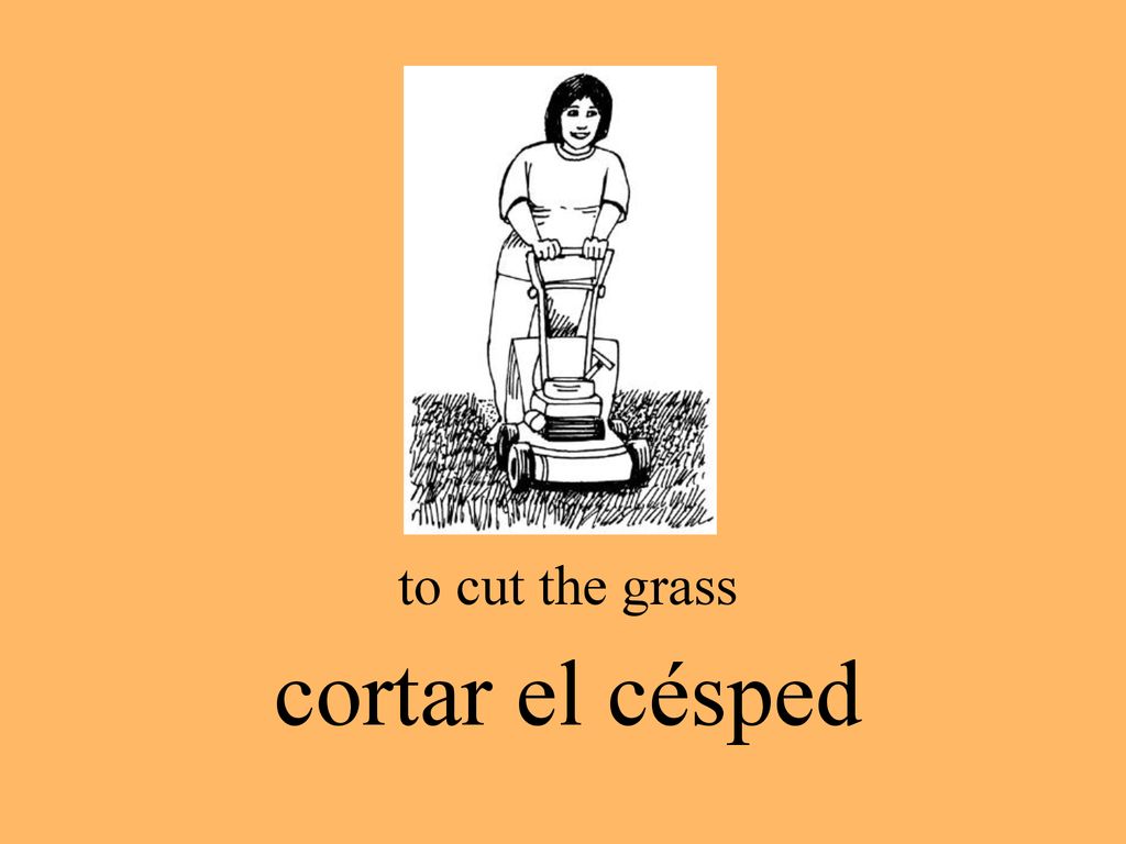 to cut the grass cortar el césped