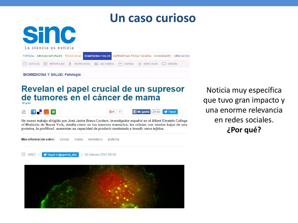 Un caso curioso Noticia muy específica que tuvo gran impacto y una enorme relevancia en redes sociales.