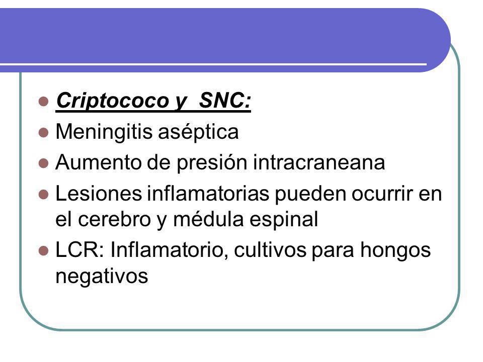 Criptococo y SNC: Meningitis aséptica. Aumento de presión intracraneana. Lesiones inflamatorias pueden ocurrir en el cerebro y médula espinal.