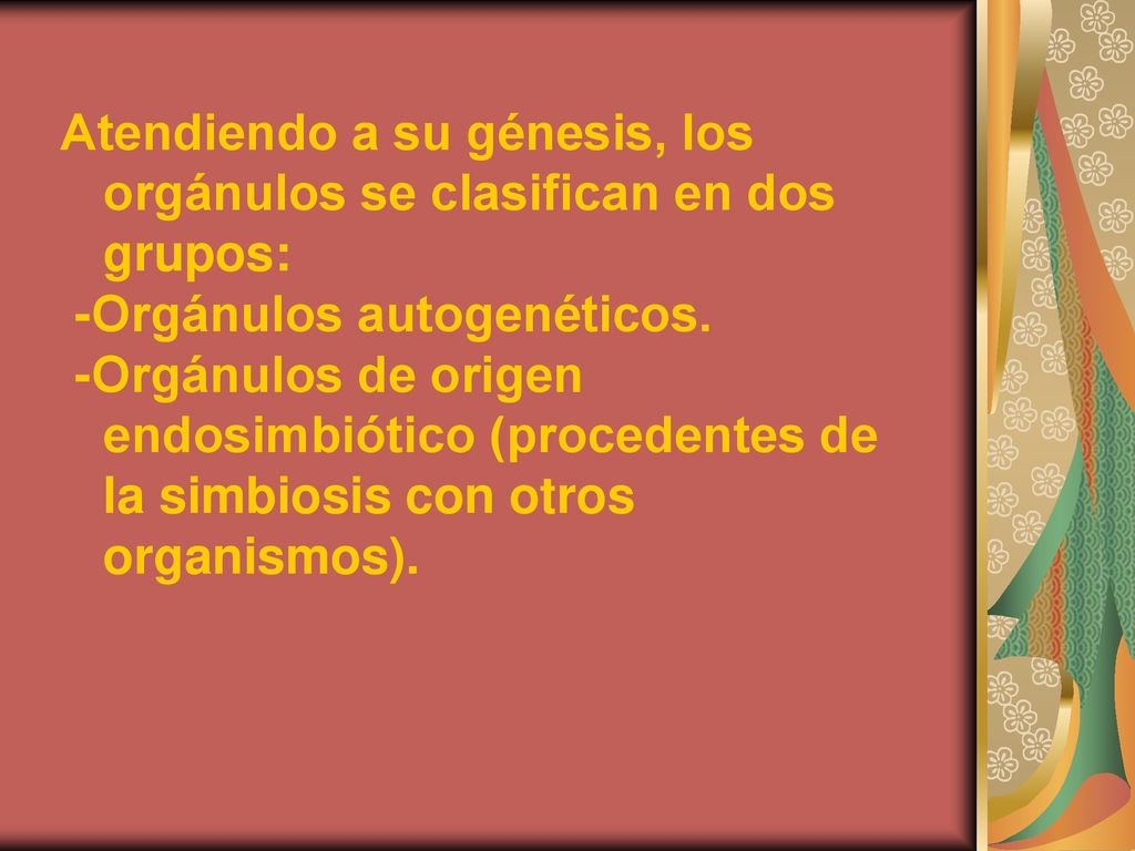 Atendiendo a su génesis, los orgánulos se clasifican en dos grupos: