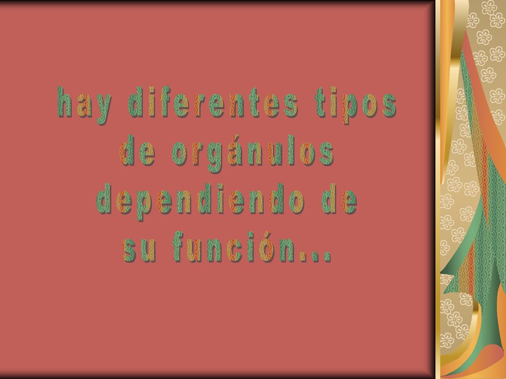 hay diferentes tipos de orgánulos dependiendo de su función...