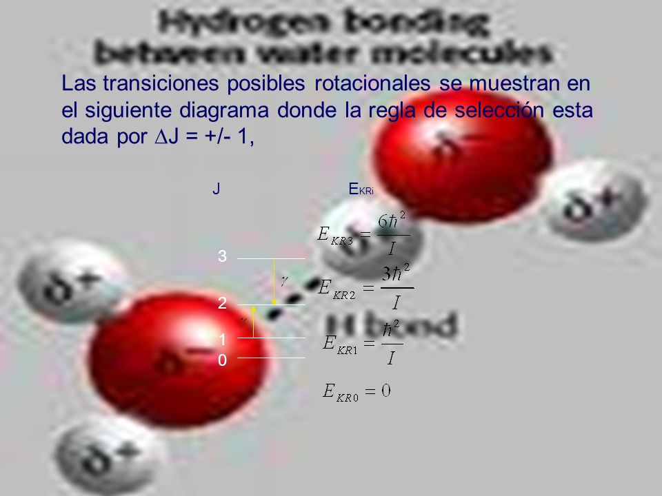 Las transiciones posibles rotacionales se muestran en el siguiente diagrama donde la regla de selección esta dada por J = +/- 1,