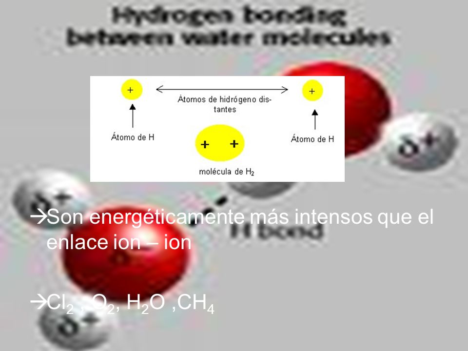 Son energéticamente más intensos que el enlace ion – ion