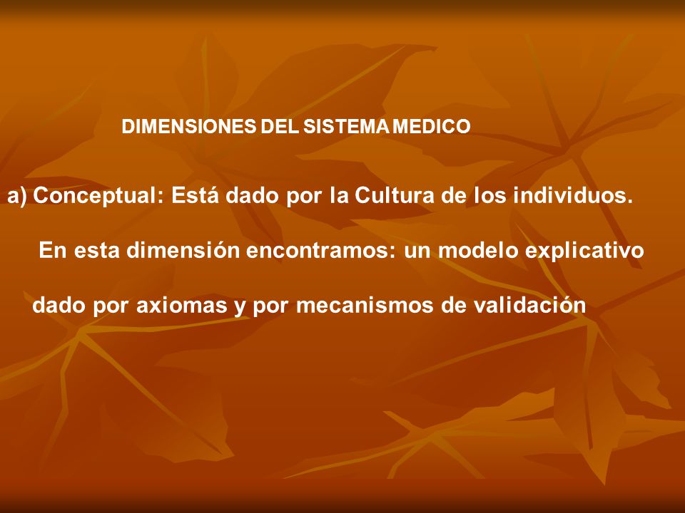 Conceptual: Está dado por la Cultura de los individuos.