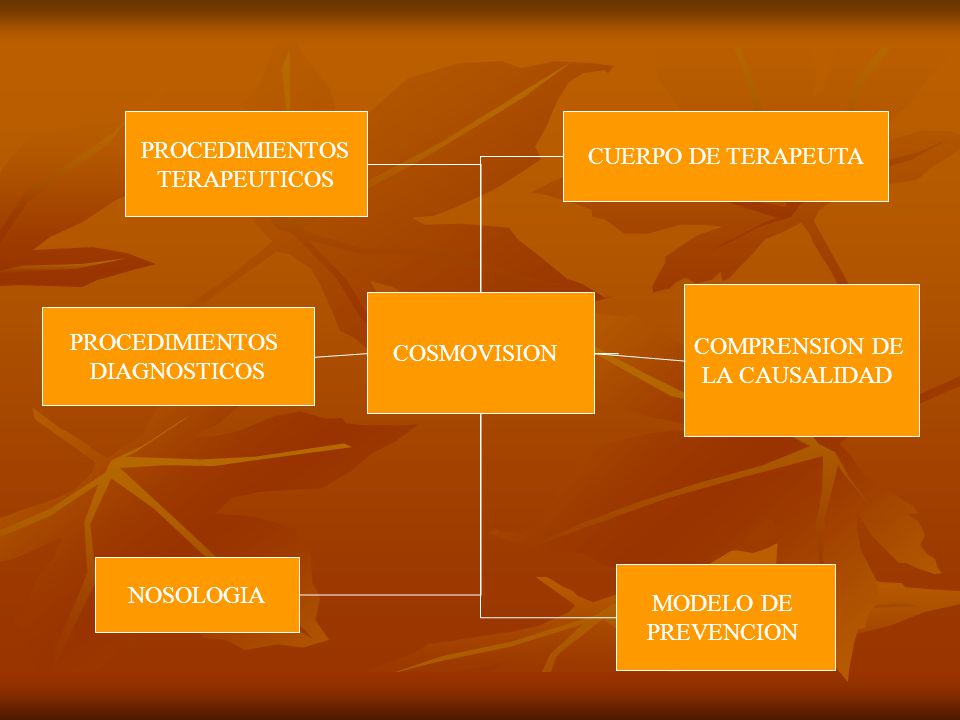 PROCEDIMIENTOS TERAPEUTICOS. CUERPO DE TERAPEUTA. COMPRENSION DE. LA CAUSALIDAD. COSMOVISION. PROCEDIMIENTOS.