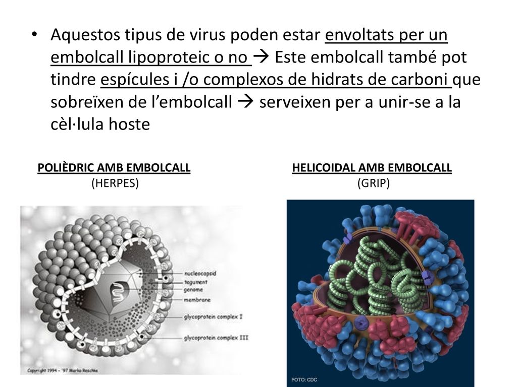 Aquestos tipus de virus poden estar envoltats per un embolcall lipoproteic o no  Este embolcall també pot tindre espícules i /o complexos de hidrats de carboni que sobreïxen de l’embolcall  serveixen per a unir-se a la cèl·lula hoste