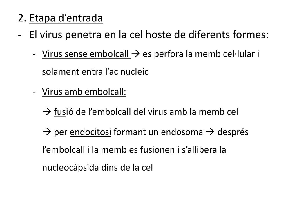 El virus penetra en la cel hoste de diferents formes: